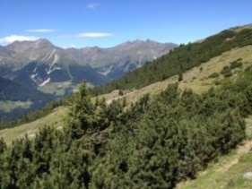 Mules, Val Sarentino